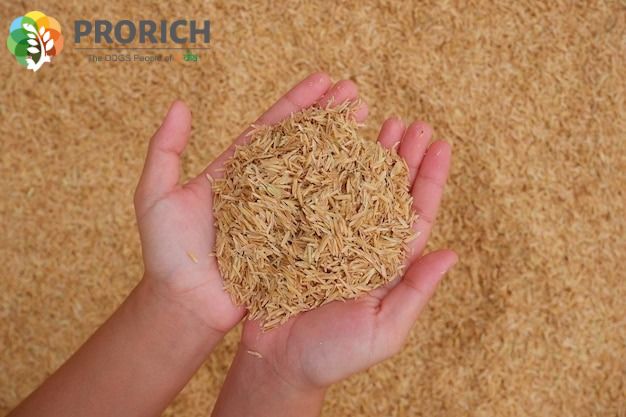 Rice DDGS in Poultry Feed | Boost Growth & Cut Costs