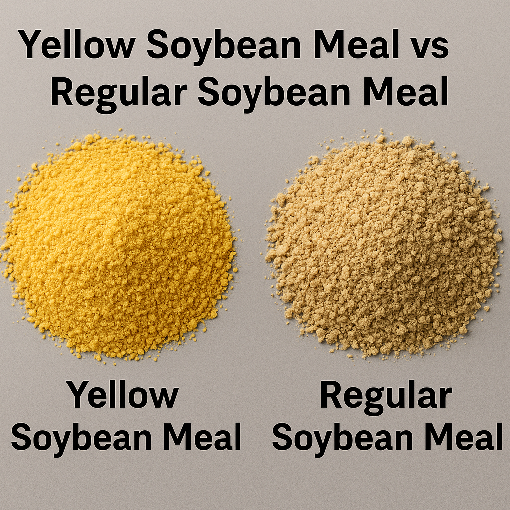 Yellow Soybean Meal vs Regular Soybean Meal: What’s the Difference?