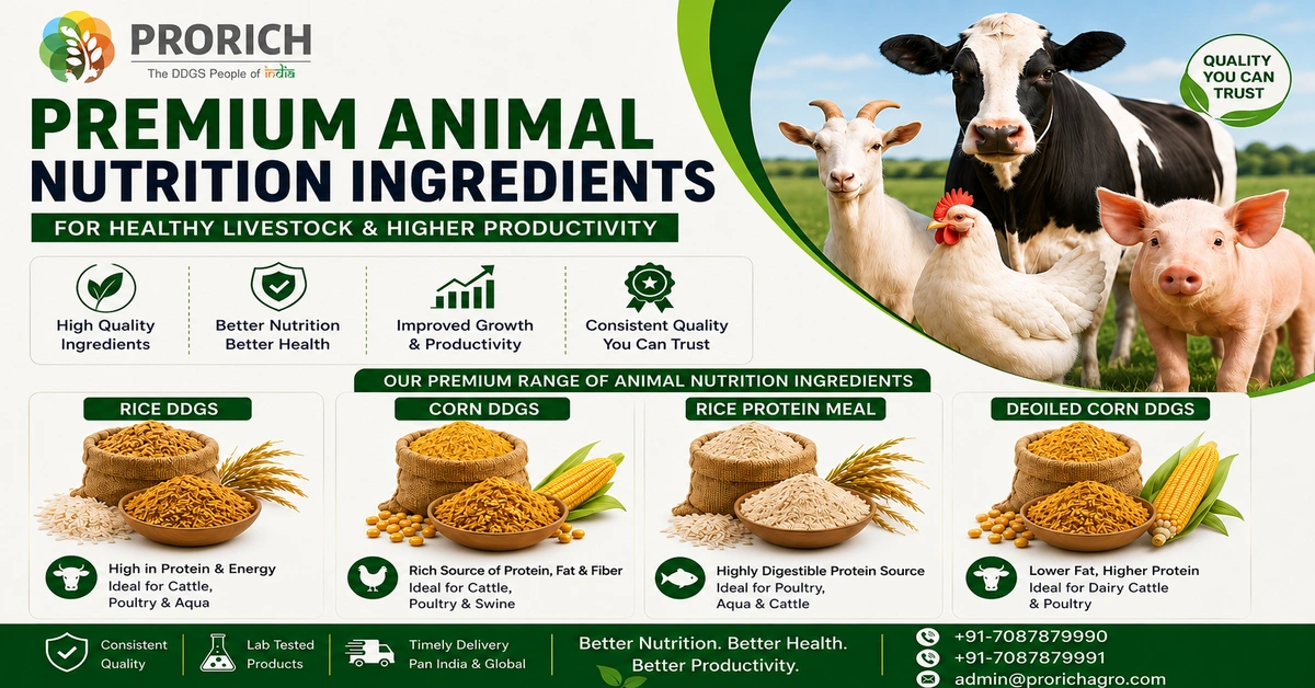 What are the most Important Animal Nutrition Ingredients for Healthy livestock?