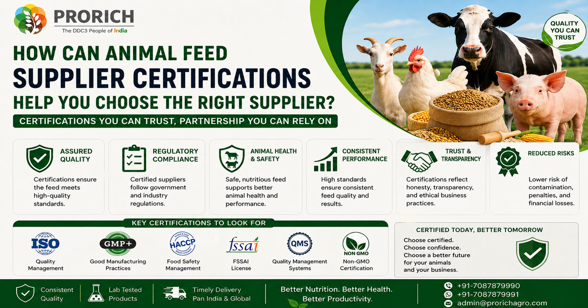 How Can Animal Feed Supplier Certifications Help You Choose the Right Supplier?