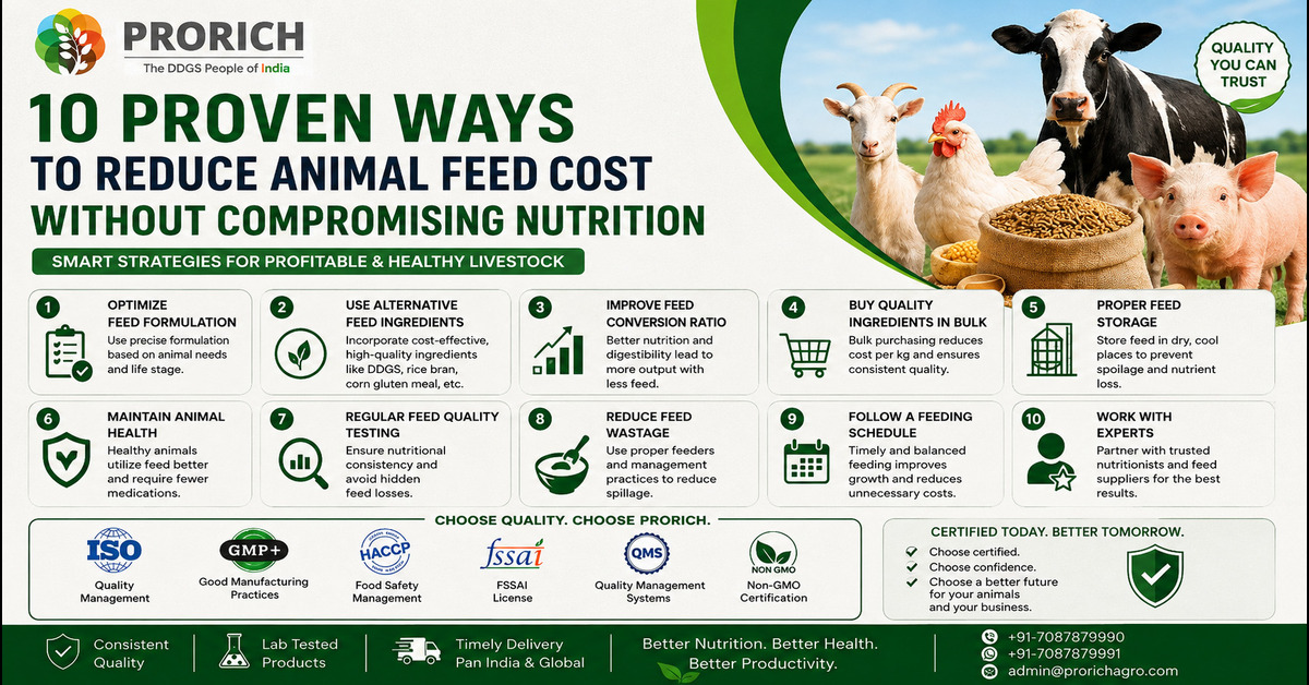 10 Proven Ways to Reduce Animal Feed Cost Without Compromising Nutrition