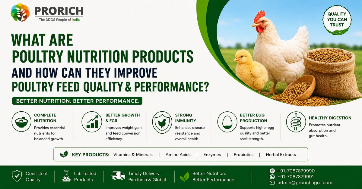 What Are Poultry Nutrition Products and How Can They Improve Poultry Feed Quality and Performance?
