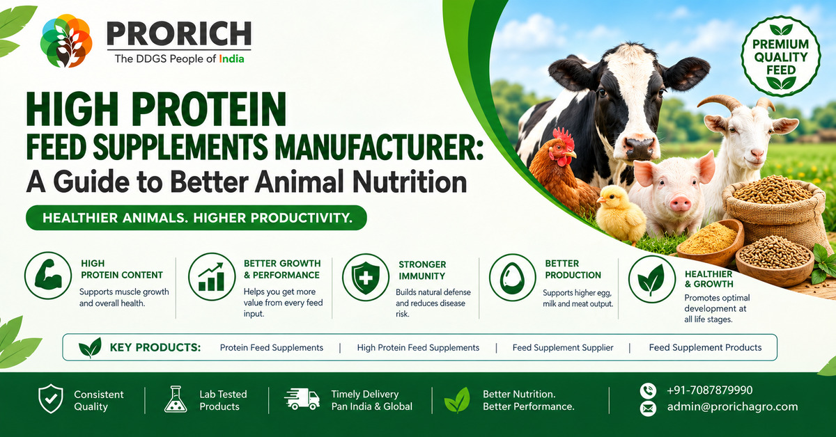 High Protein Feed Supplements Manufacturer: A Guide to better Animal Nutrition