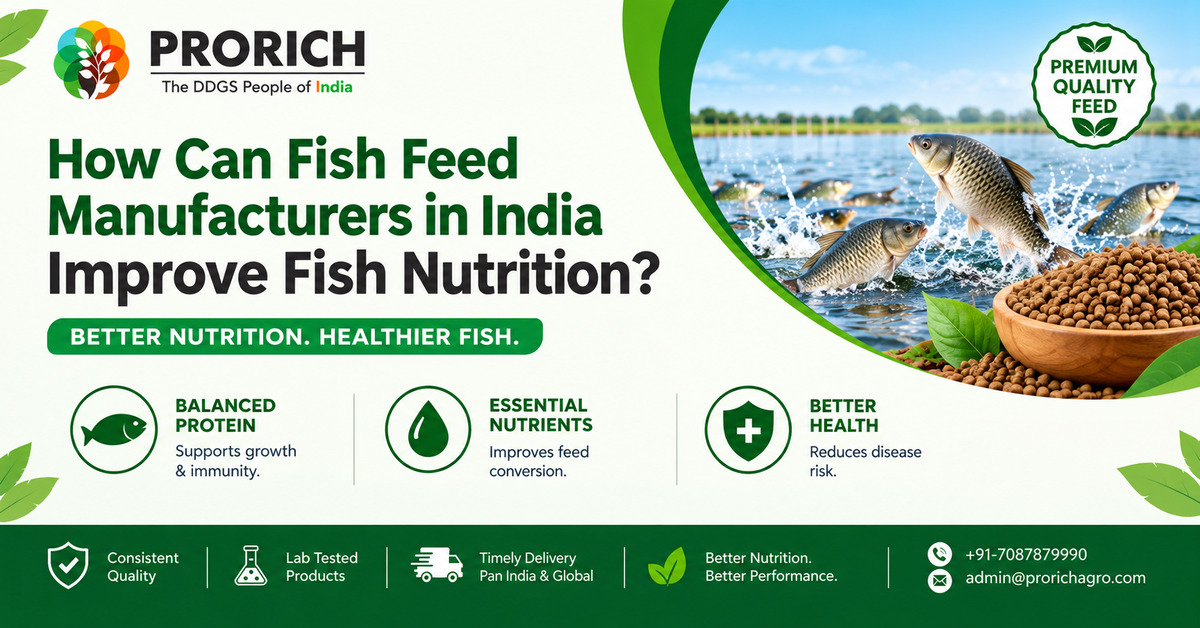 How Can Fish Feed Manufacturers in India Improve Fish Nutrition?