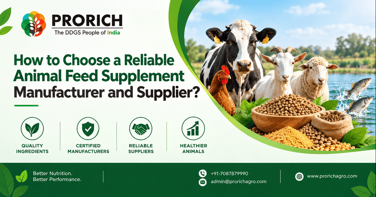 How to Choose a Reliable animal Feed Supplement Manufacturer and Supplier ?