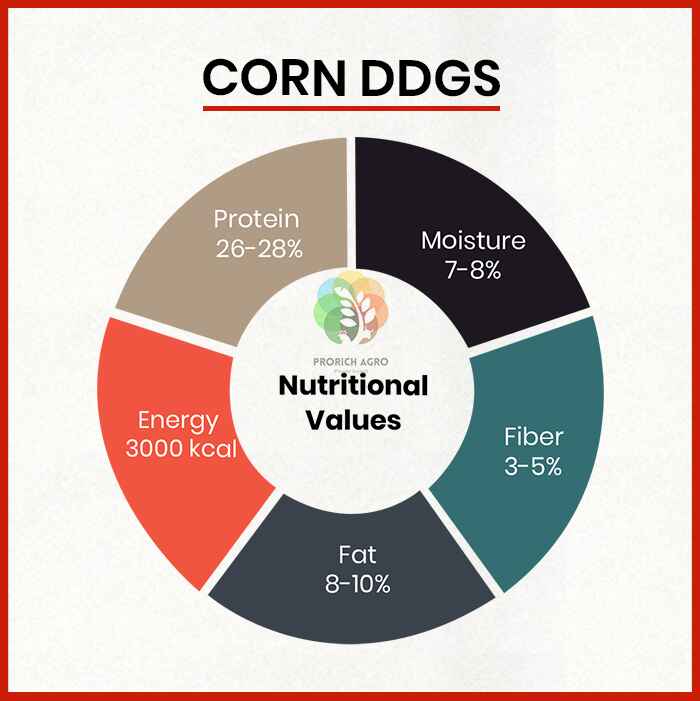 Corn DDGS Manufacturers in Gudivada