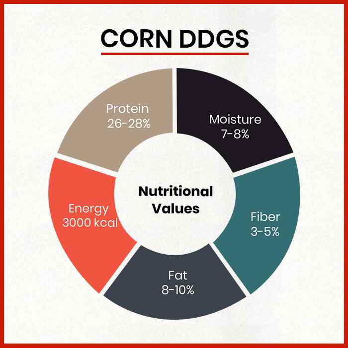 Corn DDGS Manufacturers in West Bengal