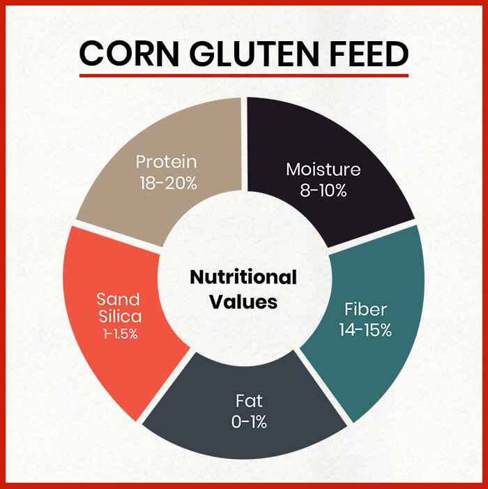 Corn Gluten Feed Manufacturers in West Bengal