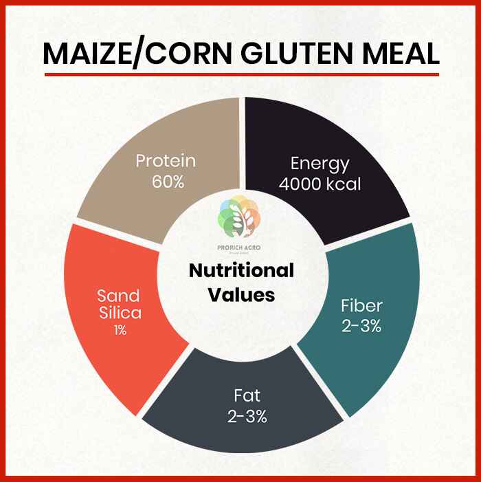 Corn Gluten Meal Suppliers in United States