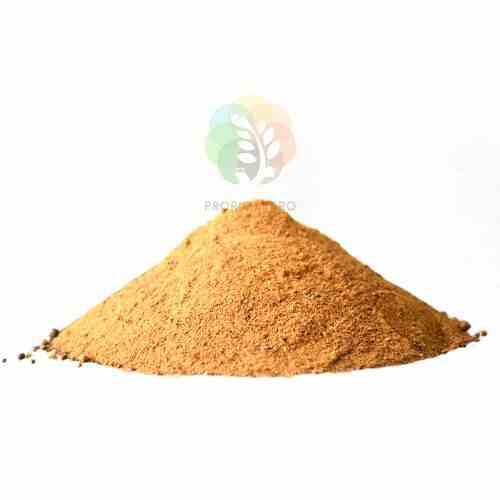Rice DDGS Manufacturers in Maharashtra