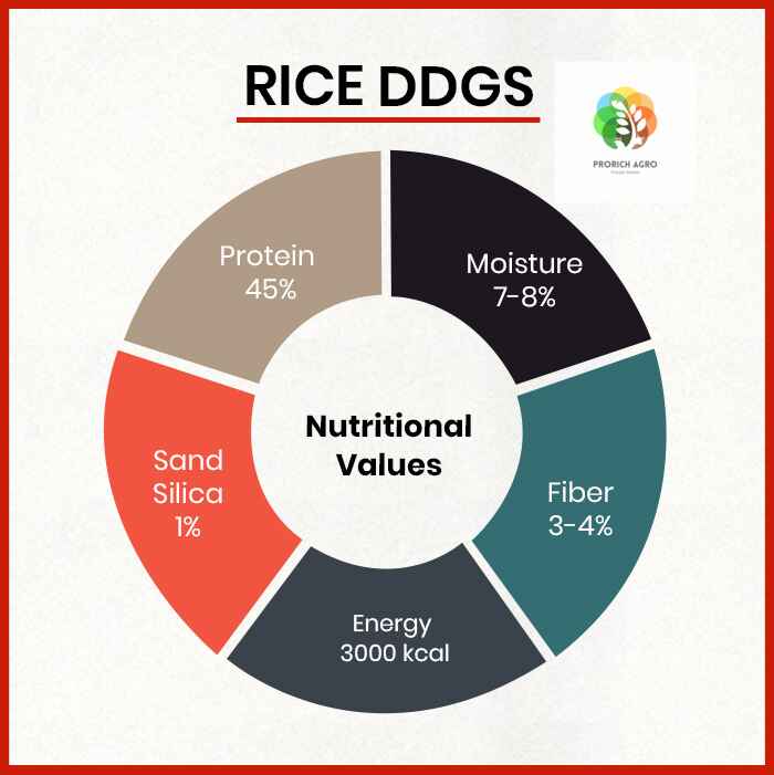 Rice DDGS Suppliers in Patna