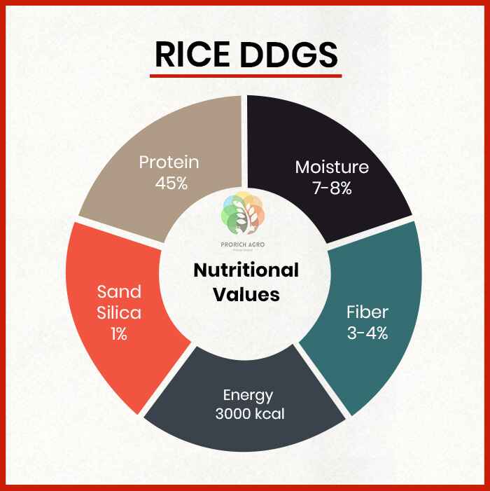 Rice DDGS Manufacturers in Madhya Pradesh