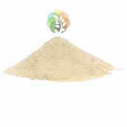 Rice Protein Meal Manufacturers in Punjab