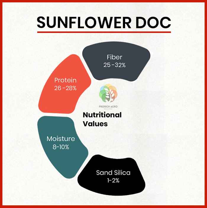 Sunflower DOC Suppliers in Mexico