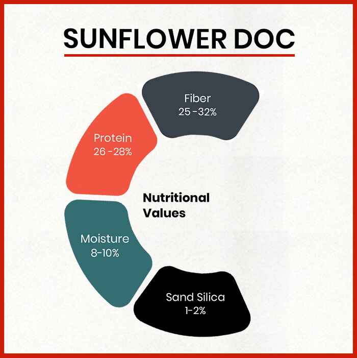 Sunflower DOC Suppliers in Nepal