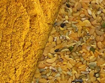 Best Corn DDGS Manufacturers in Ranchi